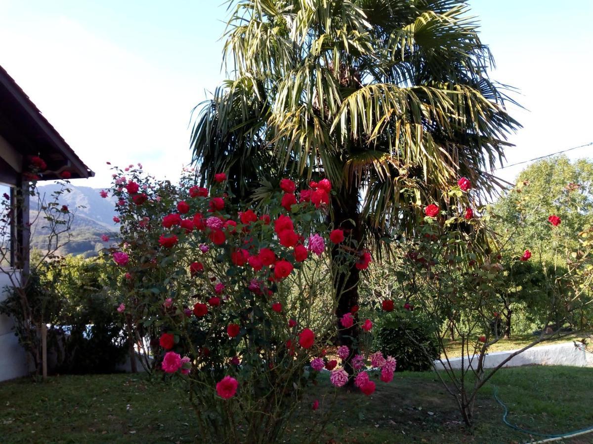 Gite Etxe Xuri Ossès Exterior foto