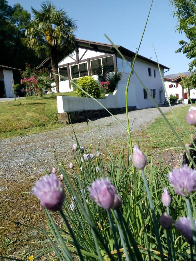 Gite Etxe Xuri Ossès Exterior foto